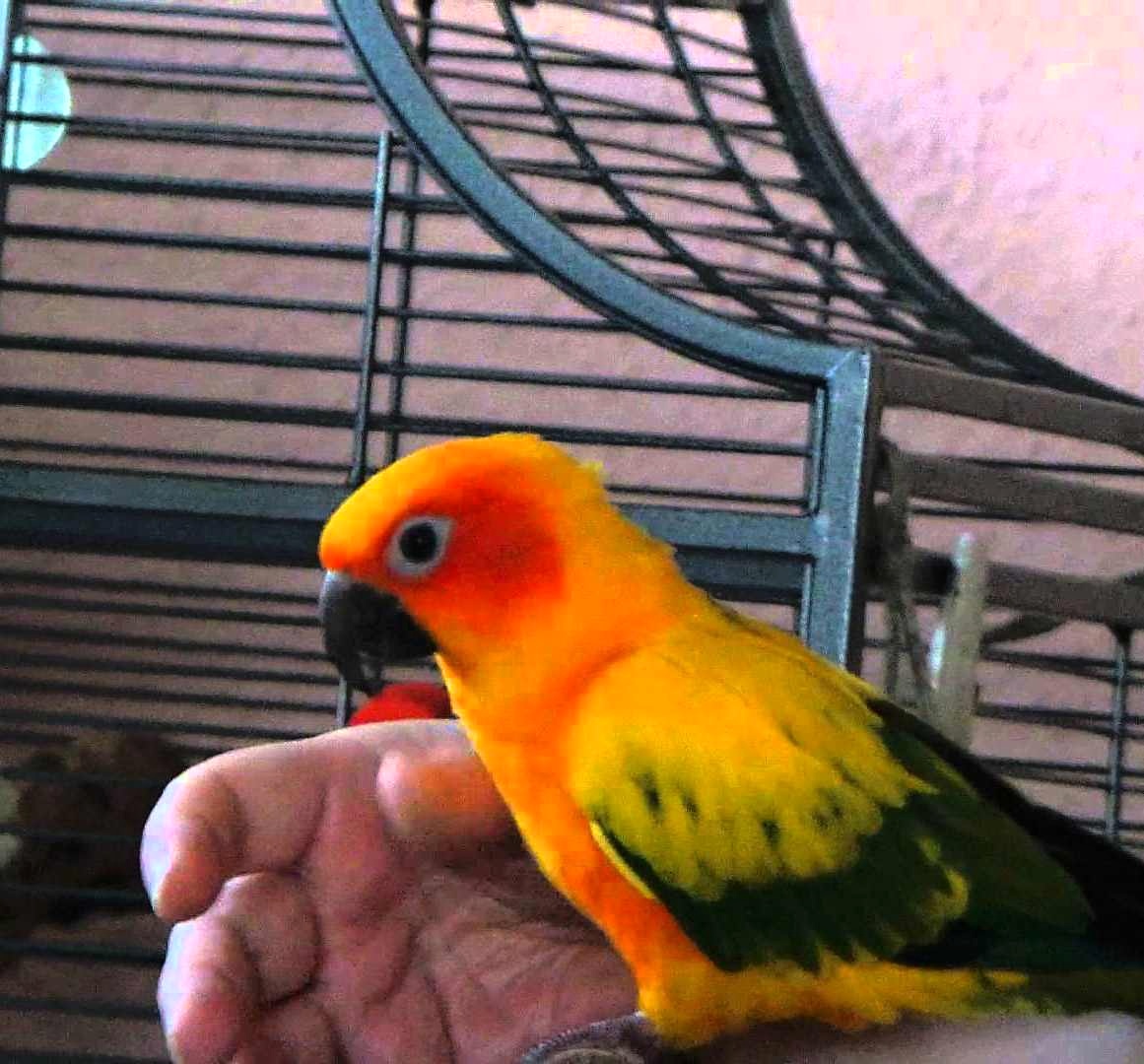 Foto 6